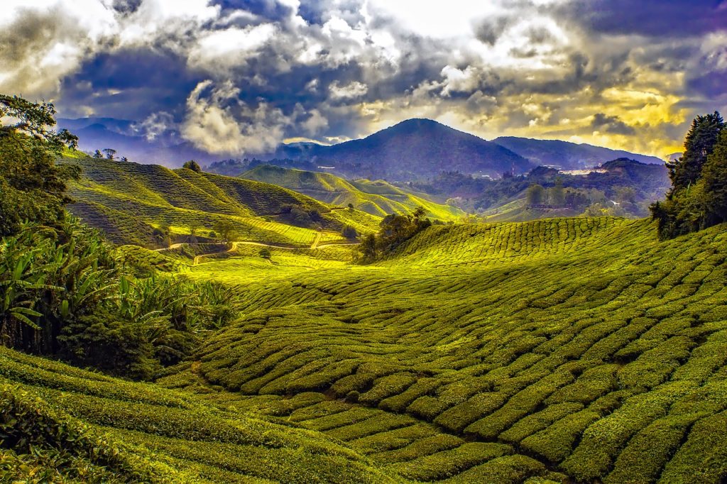 malaysia, tropics, mountains